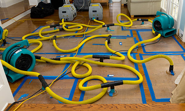 Professional Water Extraction technician working in Hooper, NE